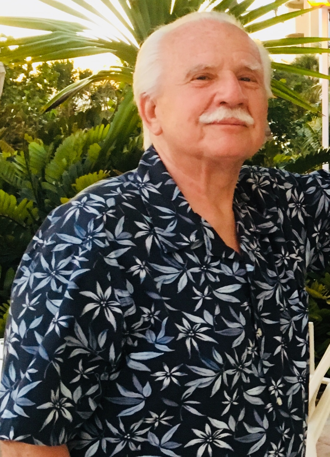 Robert B Wisniewski